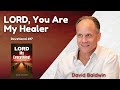 LORD, My Everything _ Dev 17 Lord You Are My Healer _ David Baldwin #davidbaldwin #bible #biblestudy