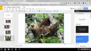 *How to Link a Prezi to Your Digital Portfolio