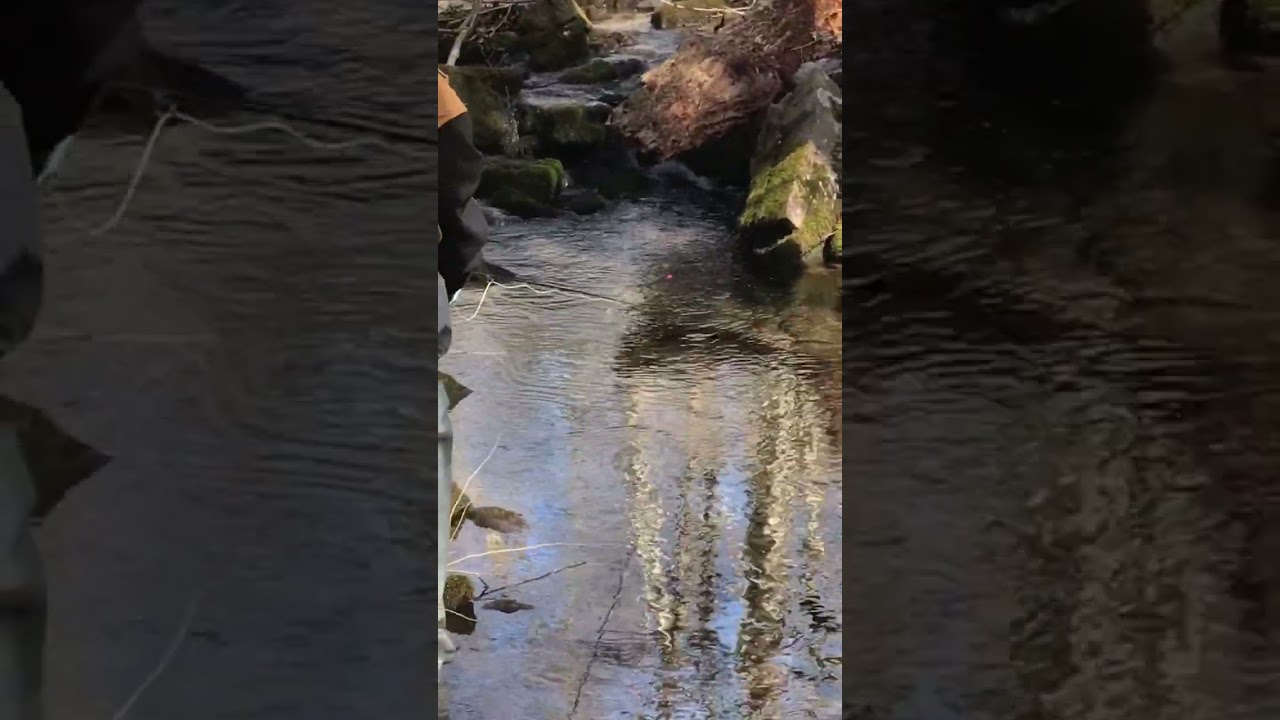 TROUT FiSHING BOBBER DOWN! Missing a BIG Fish on a Fly Rod