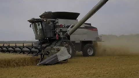 Gleaner Super Seven Straight Cutting Spring Wheat 2020 08