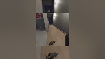 How A Pro Loops The Ghost #shorts #phasmophobia #phasmophobiaupdate