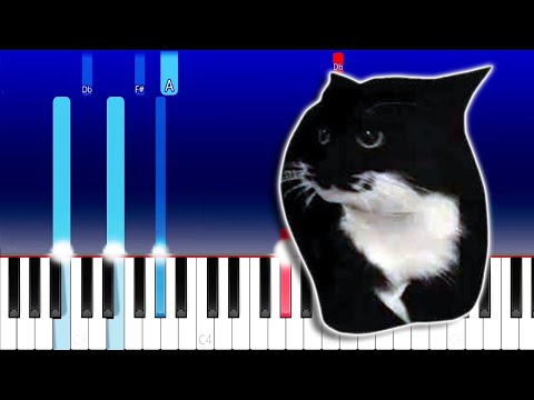 Maxwell the Cat Theme Meme (Piano Tutorial)