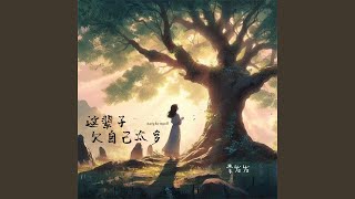 这辈子欠自己太多 (伴奏)