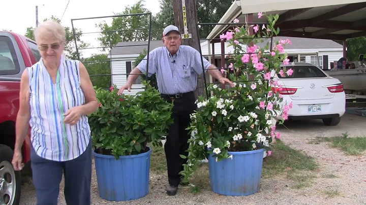 Converting Flowers From Summer To Fall Ep 145