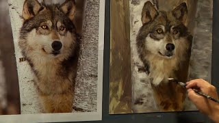 Timber Wolf Animal Portrait with Acrylics- Zorn Palette
