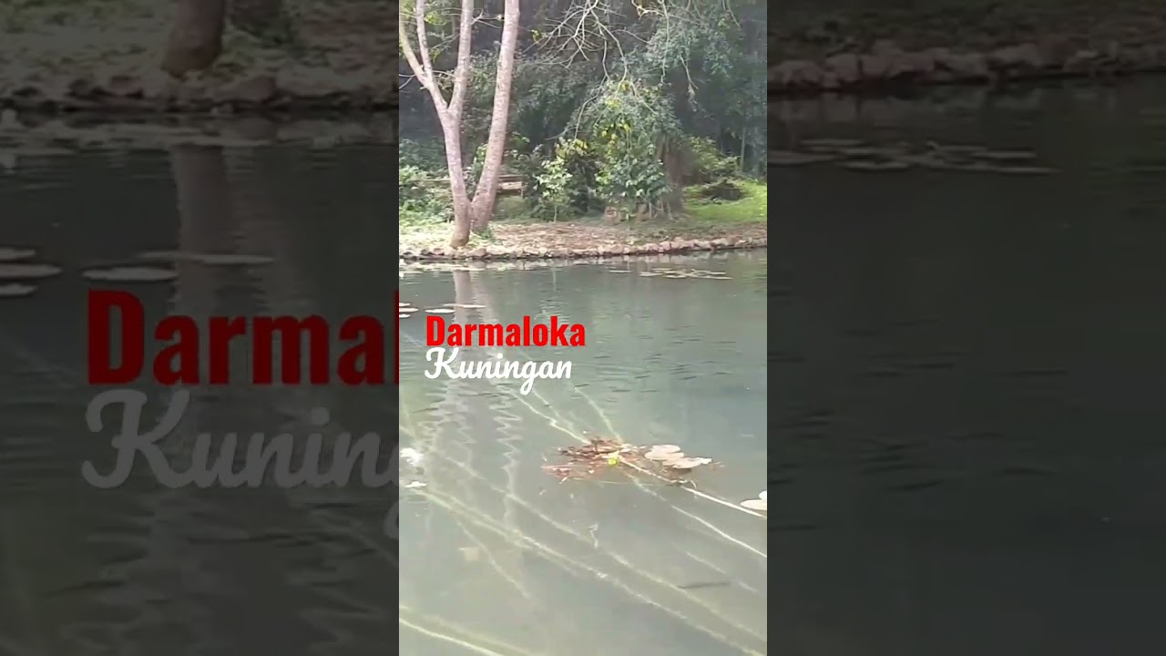 BALONG KRAMAT DARMALOKA ❗ Misteri Pasukan Ikan 