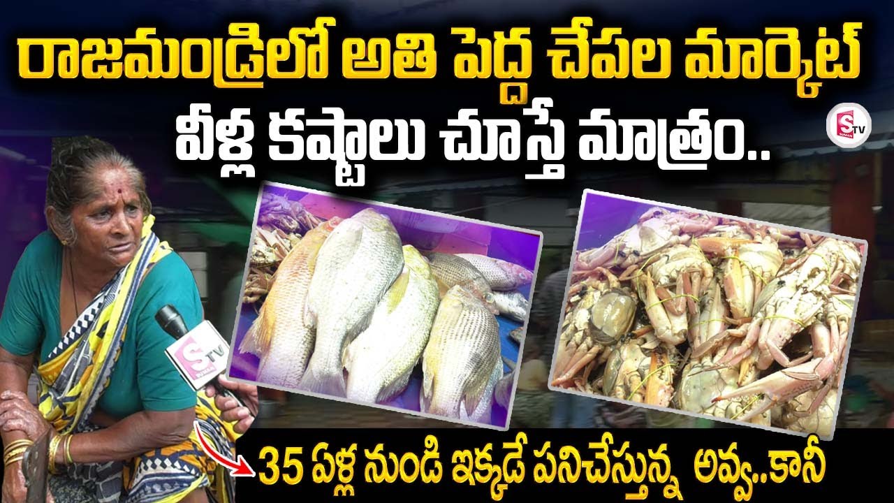 రాజమండ్రి చేపలమార్కెట్ Biggest Fish Market In Rajahmundry sumantvrajahmundry YouTube