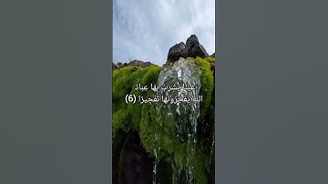 عَيْنًا يَشْرَبُ بِهَا عِبَادُ اللَّهِ يُفَجِّرُونَهَا تَفْجِيرًا  [سورة الإنسان] الشيخ ماجد العويري
