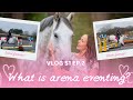 What is arena eventing and can it improve your horses showjump? With @Duplicateee