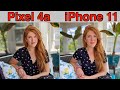 Pixel 4a vs iPhone 11 - Camera Comparison - Surprising Results!