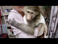 Банный день но зря поставили тазик девочкам не понравился Банный день но зря поставили тазик девочкам не понравился