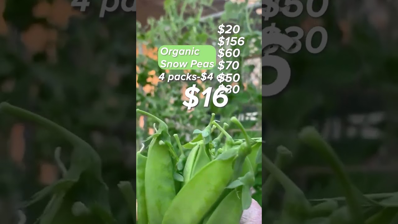 How much Money do you save growing an Organic Garden? 