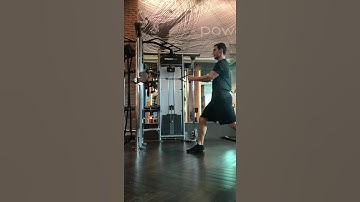 SL Arm Cable Row w: trunk rotation