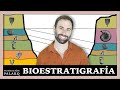 🤔 ¿Qué es la BIOESTRATIGRAFÍA y qué estudia?