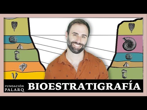 Vídeo: Què és la simetria i els seus tipus en biologia?