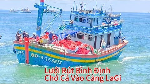 Ghe Lưới Rút Bình Định Tiếp Tục Chở Cá Vào Cảng LaGi Bình Thuận