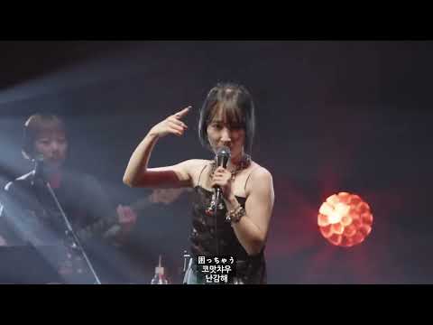 乃紫 (noa) - 全方向美少女 한글자막 (완벽한 미소녀 전방향미소녀) 全方向美少女 - Live at ZEPP TOUR 2025【Zepp DiverCity (TOKYO)】