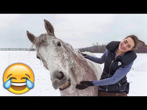 TEACH A HORSE TO SMILE 