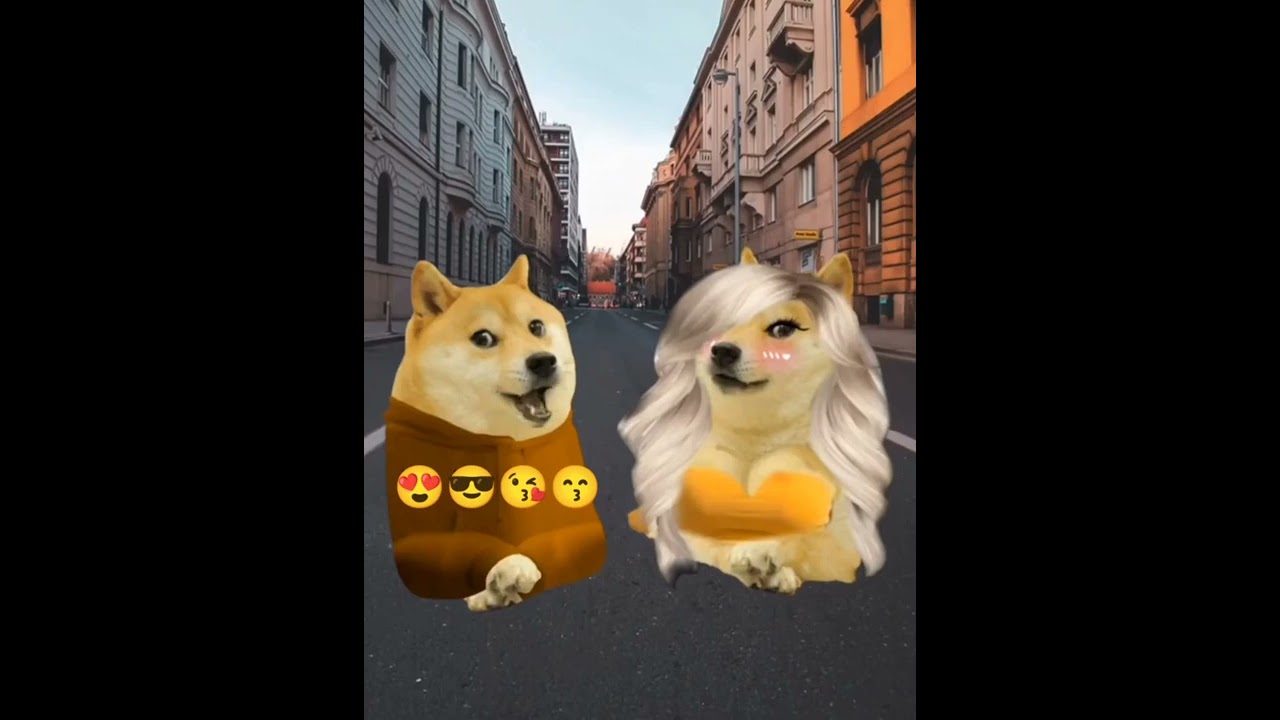 Qmt ke gaamad se aarhi dhak dhak ki aawaz 🥰 