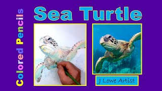 HOW TO DRAW A SEA TURTLE WITH COLORED PENCILS