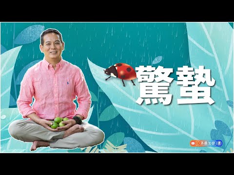 驚蟄｜洛桑節氣站