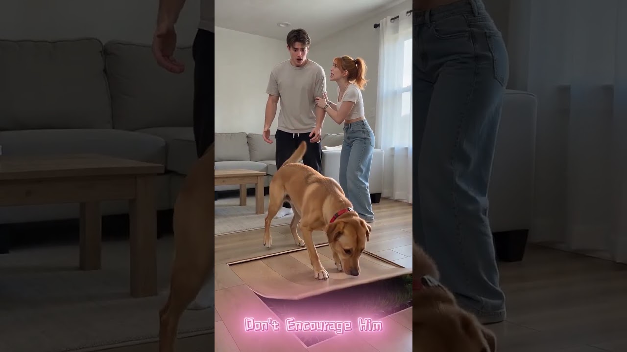 OUR DOG STARTED PEELING THE FLOOR 😳🐶#Shorts #FunnyDogs #DogVideos #WaitForIt #Magic