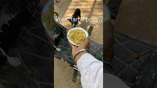 Poor puppy #animalshorts #youtubeshorts #shortsfeed #ytshorts #street-dog