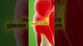 Doctors Never Show You This About Lemonade (3D Anatomy) #3d #facts #3danimation #science #shorts