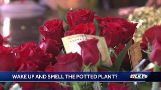 The 'rose rush' is on this Valentine's Day in Louisville, but florists noticing some changes