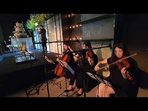 지스텀하우스 웨딩연주 미녀와야수 How does A moment last forever 결혼식연주 피아노4중주