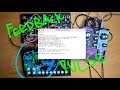 Feedback Pulse | 0-Coast/East Beast/Echo Dream 2 : 01302025-2