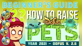 Dofus ~ How to Raise Pets! A Beginner's Guide by POKIA