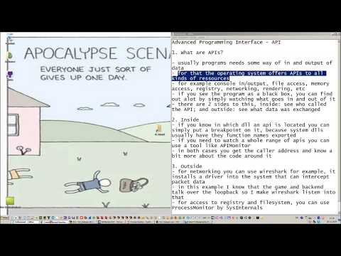 RE with WV - Episode #5 Advanced Programming Interface
