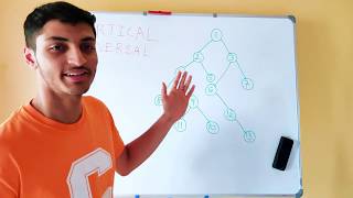 Vertical Traversal of Binary Tree with Example | Trees | Optimized | Interview Question