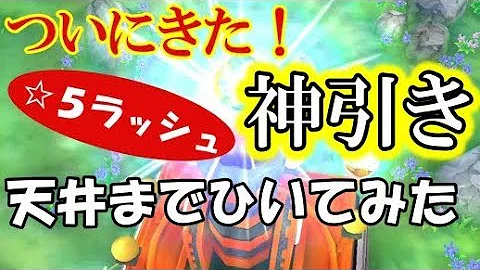 東方 キャノン ボール 確定 演出