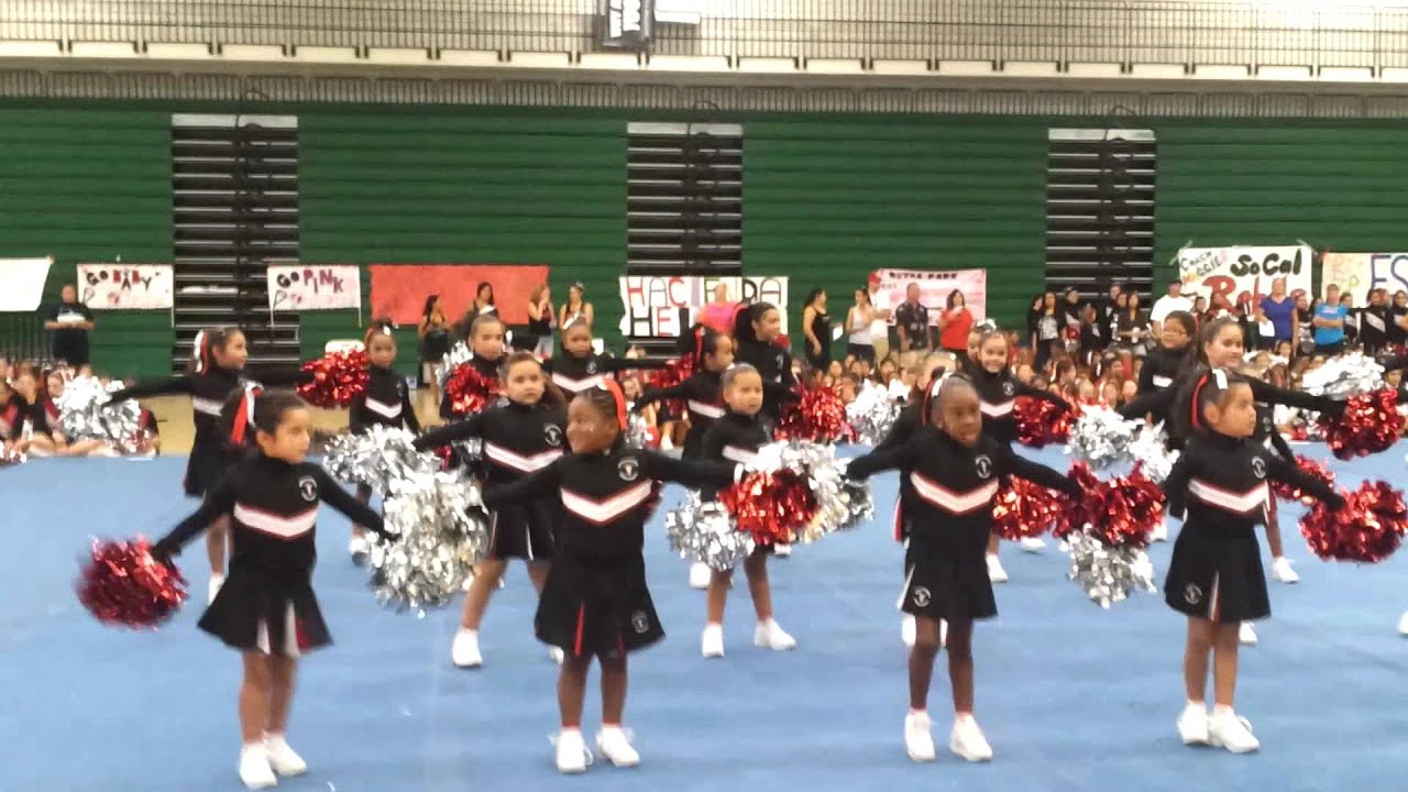 ycoa cheerleading