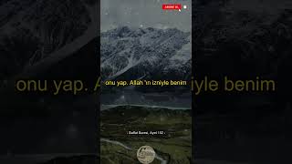Allahın Emrine Tam Teslimiyet: İsmailin Cevabı