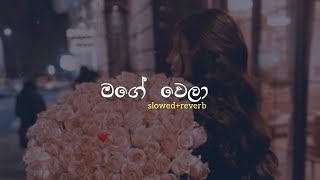 මගේ වෙලා | Slowed Reverb | Mage Wela|