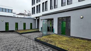 Nursing Chamber of Rhineland-Palatinate: Court declares 2025 contribution notices unlawful