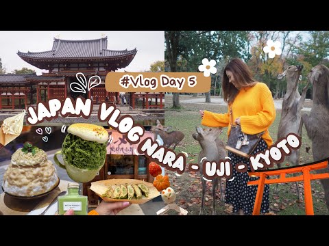 Kansai Vlog 2023.11.12 🇯🇵 Day 5 - Kyoto Uji Nara