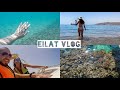 ЭЙЛАТ ВЛОГ 2021 | БОТАНИЧЕСКИЙ САД И КРАСНОЕ МОРЕ | ШОПИНГ | israel vlog ☀️