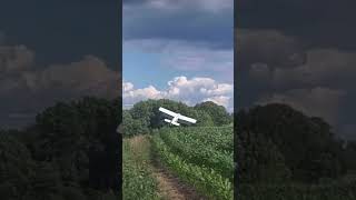 Plane crashes into tree at takeoff 😭✈️🛩️