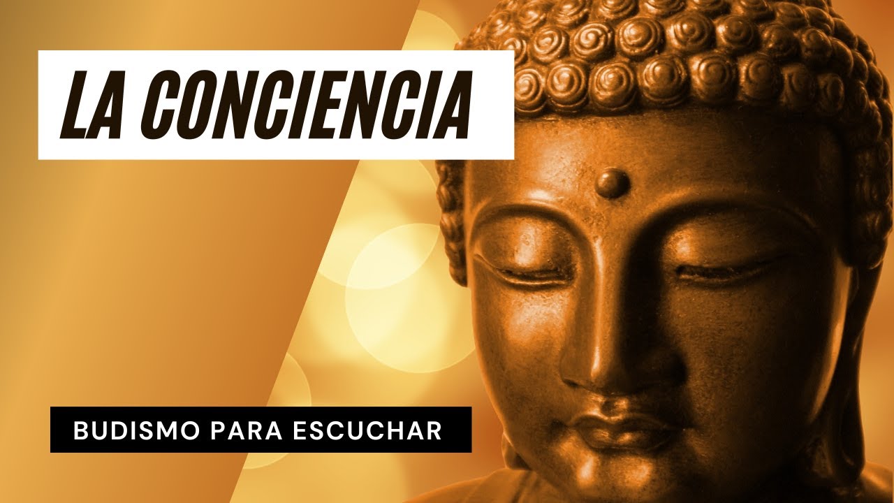 La Conciencia | Budismo para Escuchar Aquí y Ahora ☸️ Perlas Budistas de Sabiduría Milenaria