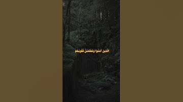 الذين امنوا وتطمئن قلوبهم بذكر الله القارئ علي جابر