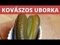 Kovászos uborka videó recept
