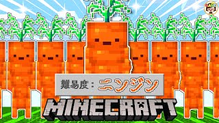 【マイクラ】ニンジンと生活するマインクラフト【Minecraft】ゆっきーGAMEわーるど screenshot 5
