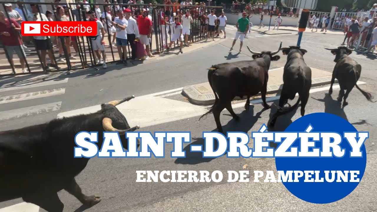 Encierro de taureaux Espagnol 🇪🇸 Saint-Drézéry 🇫🇷 le 13/08/2025 Manade DE LA LAUZE 😁