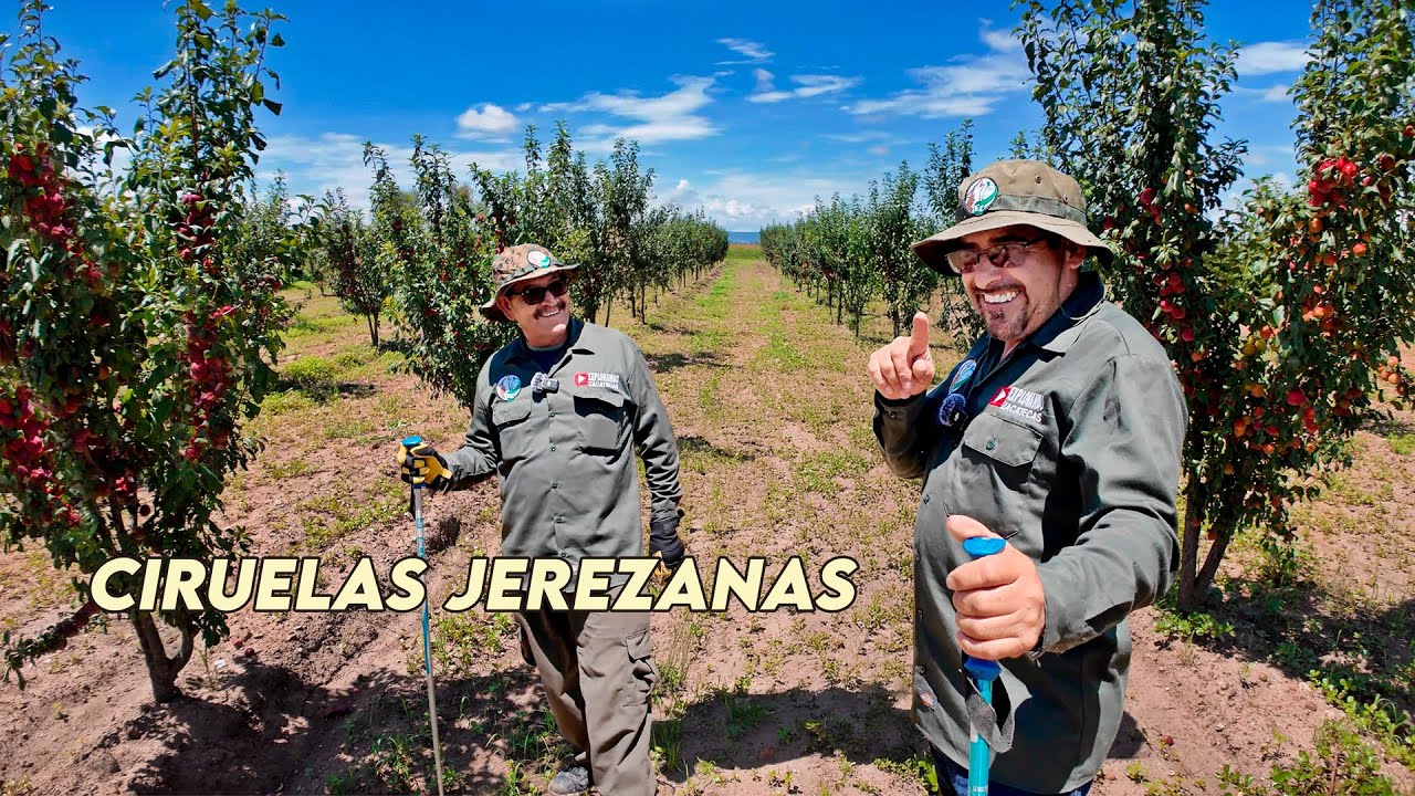 Tendremos buena cosecha si no nos falla el temporal