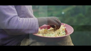 Food System and Nutrition Evidence Gap Map