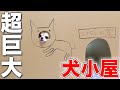 実家のリビングに勝手に犬小屋を作ってみたw w w【チワワのシナモン】